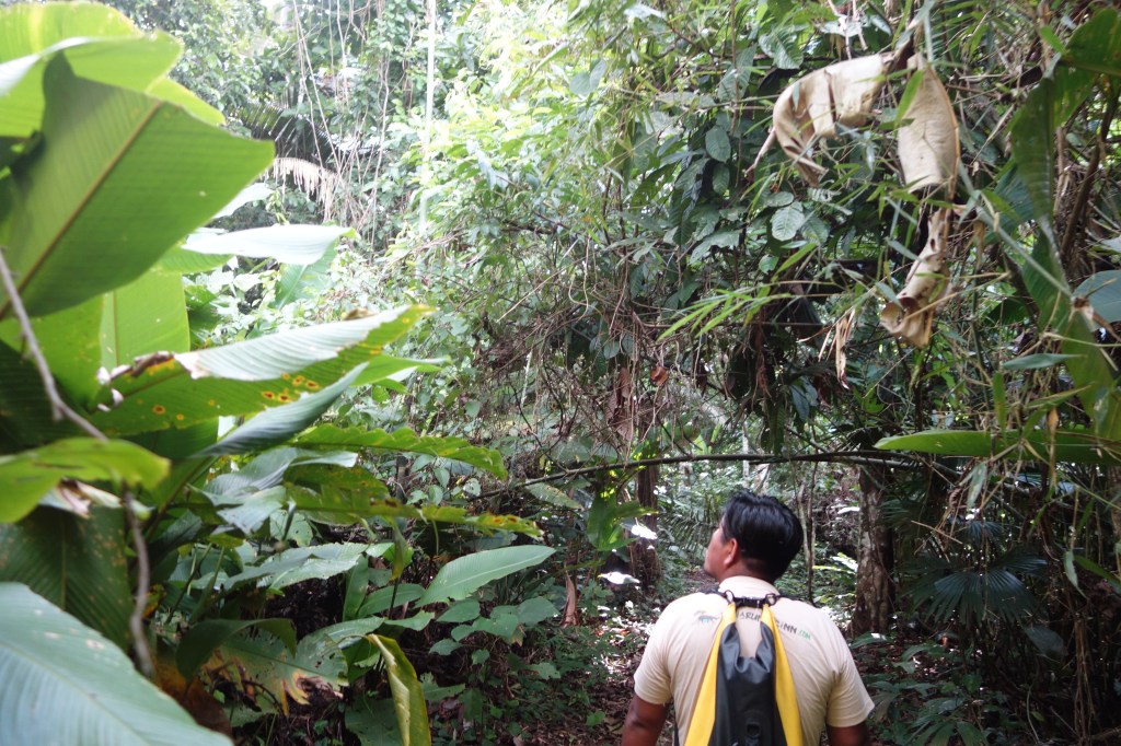 Breaking News: White American Girl Survives Amazonian Heat